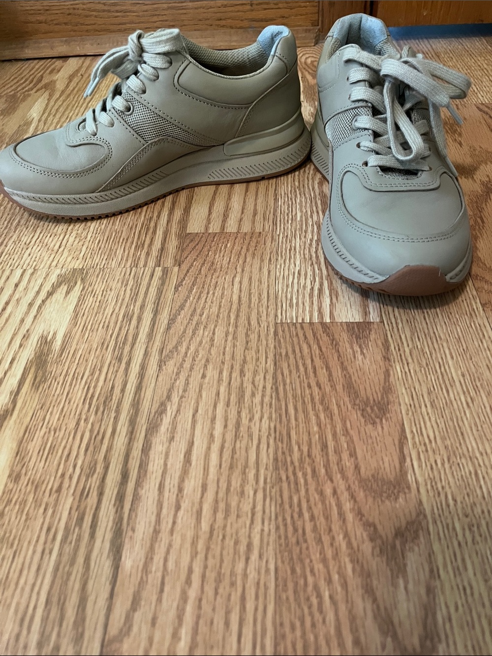 Everlane Women's Sneakers in Taupe